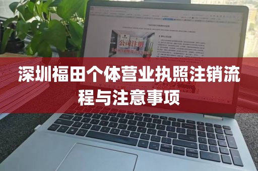 深圳福田个体营业执照注销流程与注意事项