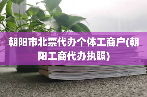 朝阳市北票代办个体工商户(朝阳工商代办执照)