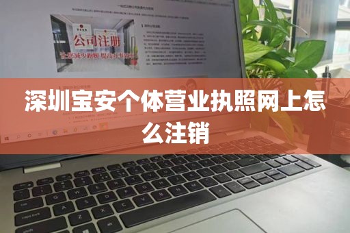 深圳宝安个体营业执照网上怎么注销