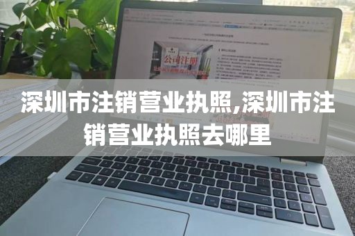 深圳市注销营业执照,深圳市注销营业执照去哪里