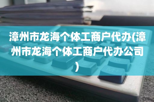 漳州市龙海个体工商户代办(漳州市龙海个体工商户代办公司)