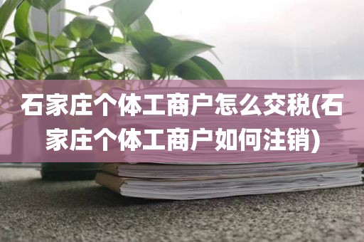 石家庄个体工商户怎么交税(石家庄个体工商户如何注销)