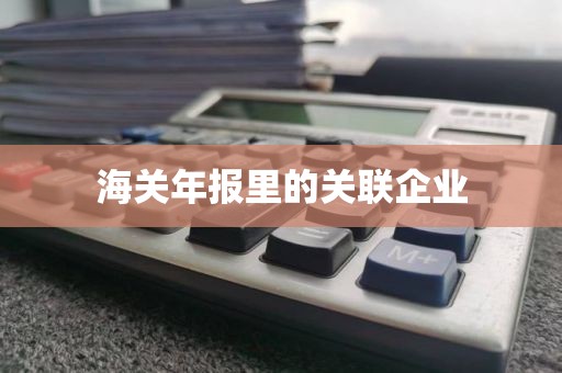 海关年报里的关联企业