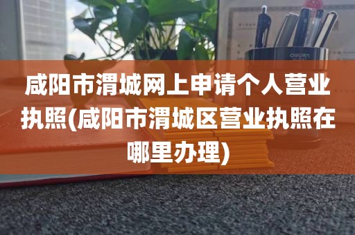 咸阳市渭城网上申请个人营业执照(咸阳市渭城区营业执照在哪里办理)