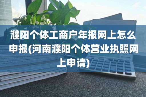 濮阳个体工商户年报网上怎么申报(河南濮阳个体营业执照网上申请)