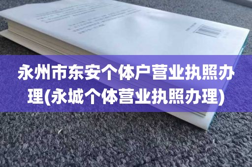 永州市东安个体户营业执照办理(永城个体营业执照办理)