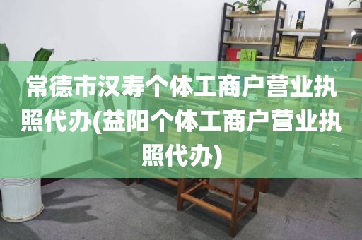 常德市汉寿个体工商户营业执照代办(益阳个体工商户营业执照代办)