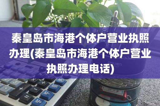 秦皇岛市海港个体户营业执照办理(秦皇岛市海港个体户营业执照办理电话)