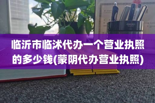 临沂市临沭代办一个营业执照的多少钱(蒙阴代办营业执照)