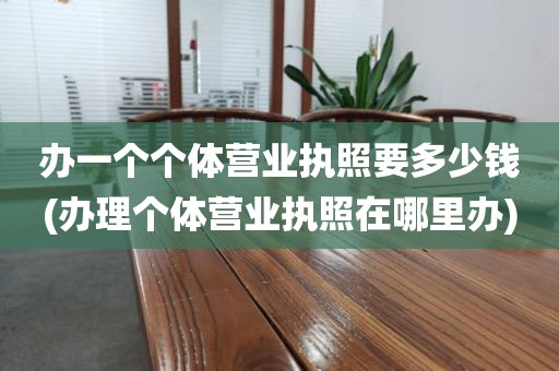 办一个个体营业执照要多少钱(办理个体营业执照在哪里办)