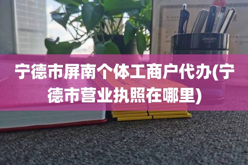 宁德市屏南个体工商户代办(宁德市营业执照在哪里)