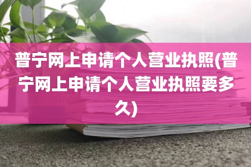 普宁网上申请个人营业执照(普宁网上申请个人营业执照要多久)