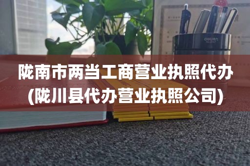 陇南市两当工商营业执照代办(陇川县代办营业执照公司)