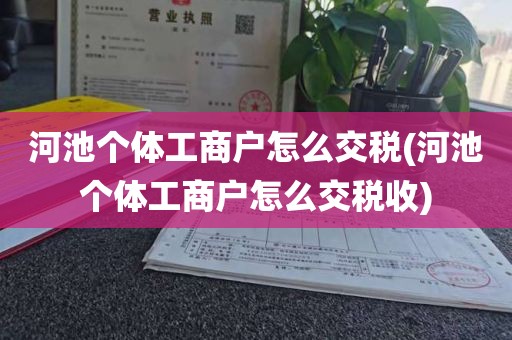 河池个体工商户怎么交税(河池个体工商户怎么交税收)