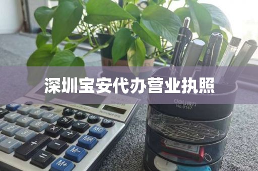 深圳宝安代办营业执照