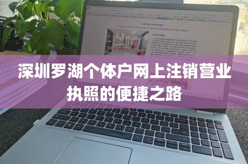 深圳罗湖个体户网上注销营业执照的便捷之路