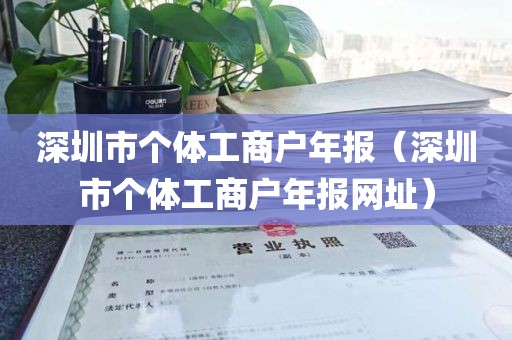 深圳市个体工商户年报（深圳市个体工商户年报网址）