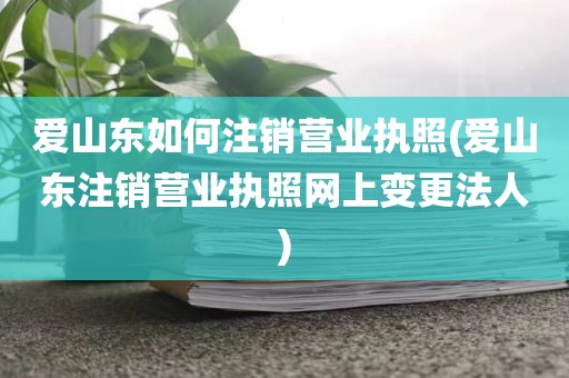 爱山东如何注销营业执照(爱山东注销营业执照网上变更法人)