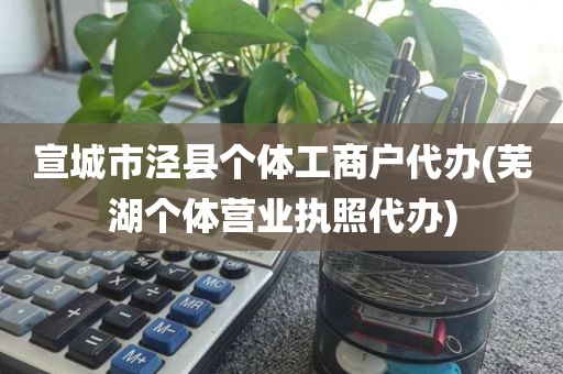 宣城市泾县个体工商户代办(芜湖个体营业执照代办)