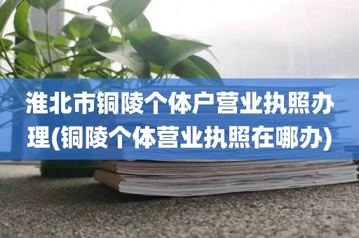 淮北市铜陵个体户营业执照办理(铜陵个体营业执照在哪办)