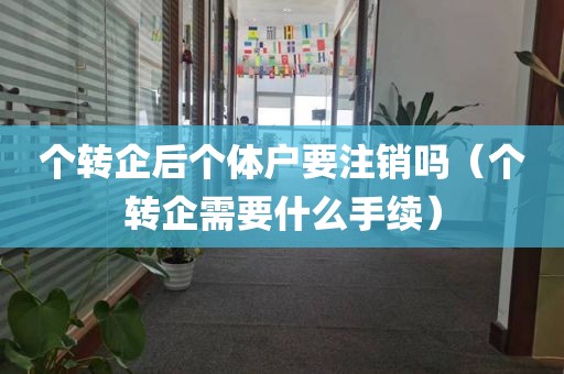 个转企后个体户要注销吗（个转企需要什么手续）