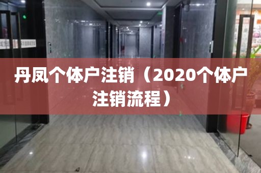 丹凤个体户注销（2020个体户注销流程）