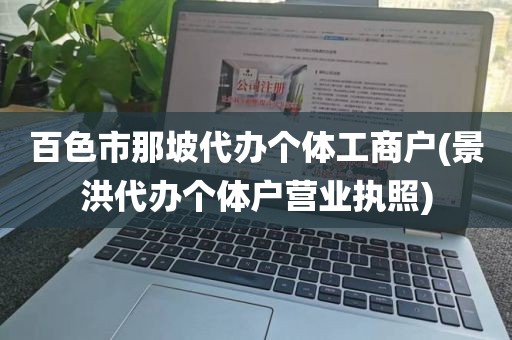 百色市那坡代办个体工商户(景洪代办个体户营业执照)