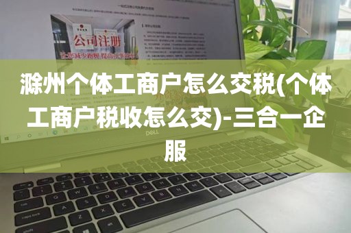 滁州个体工商户怎么交税(个体工商户税收怎么交)-三合一企服