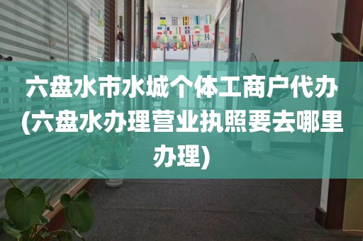 六盘水市水城个体工商户代办(六盘水办理营业执照要去哪里办理)