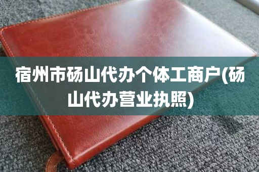 宿州市砀山代办个体工商户(砀山代办营业执照)