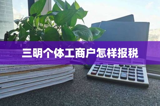 三明个体工商户怎样报税