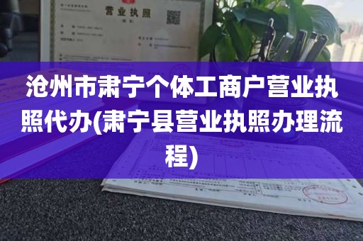 沧州市肃宁个体工商户营业执照代办(肃宁县营业执照办理流程)