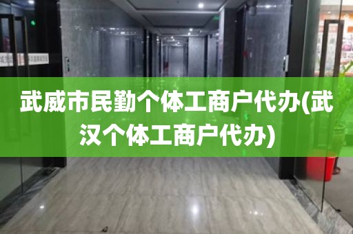 武威市民勤个体工商户代办(武汉个体工商户代办)