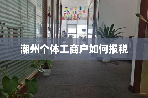 潮州个体工商户如何报税