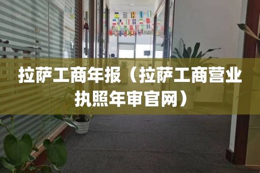 拉萨工商年报（拉萨工商营业执照年审官网）