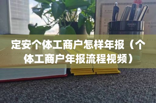 定安个体工商户怎样年报（个体工商户年报流程视频）