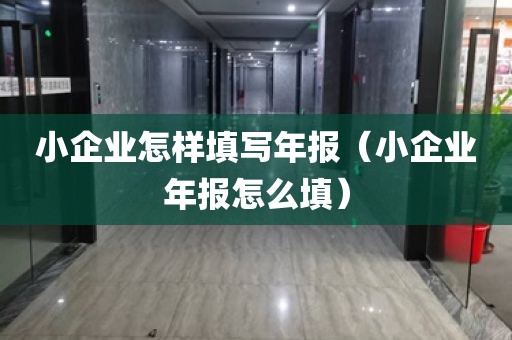 小企业怎样填写年报（小企业年报怎么填）