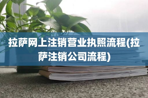 拉萨网上注销营业执照流程(拉萨注销公司流程)