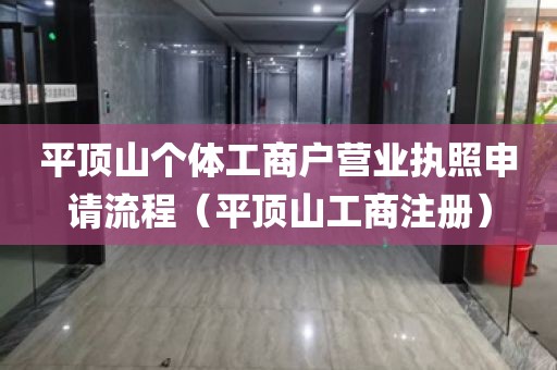 平顶山个体工商户营业执照申请流程（平顶山工商注册）