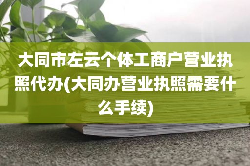 大同市左云个体工商户营业执照代办(大同办营业执照需要什么手续)