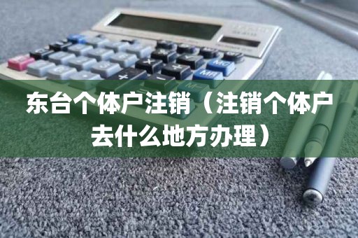 东台个体户注销（注销个体户去什么地方办理）