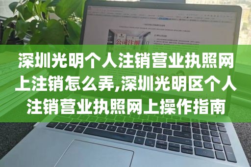 深圳光明个人注销营业执照网上注销怎么弄,深圳光明区个人注销营业执照网上操作指南