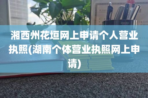 湘西州花垣网上申请个人营业执照(湖南个体营业执照网上申请)