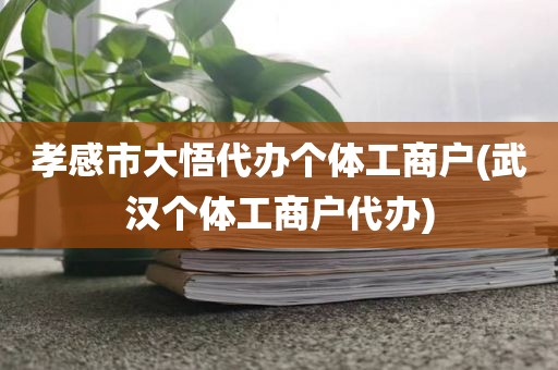 孝感市大悟代办个体工商户(武汉个体工商户代办)