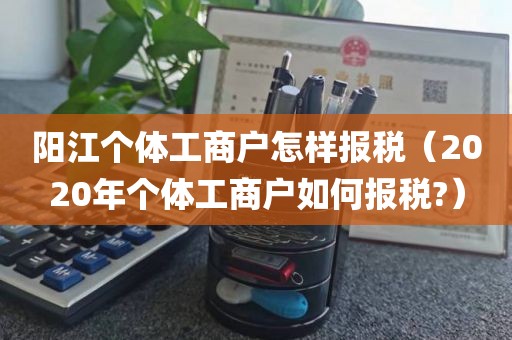 阳江个体工商户怎样报税（2020年个体工商户如何报税?）