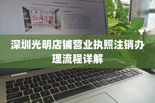 深圳光明店铺营业执照注销办理流程详解