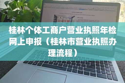 桂林个体工商户营业执照年检网上申报（桂林市营业执照办理流程）
