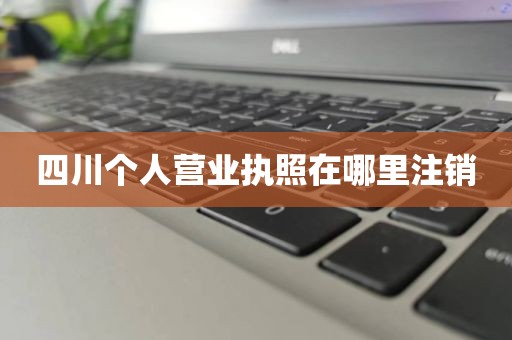 四川个人营业执照在哪里注销