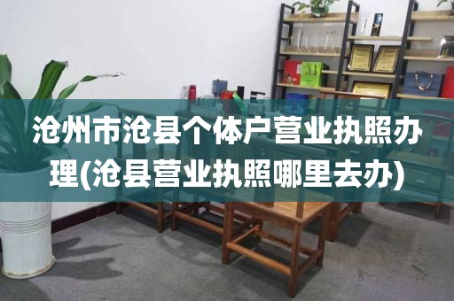 沧州市沧县个体户营业执照办理(沧县营业执照哪里去办)