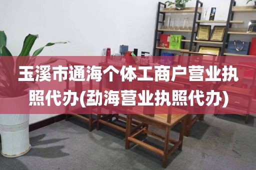 玉溪市通海个体工商户营业执照代办(勐海营业执照代办)
